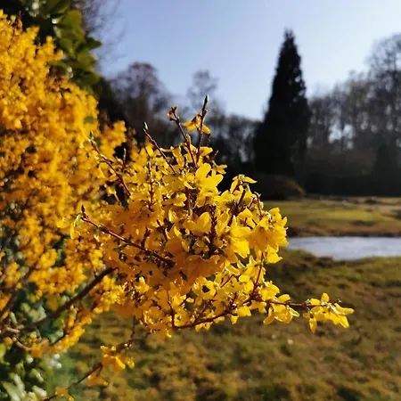 Naturist The Little Paradise * Morville (Namur)